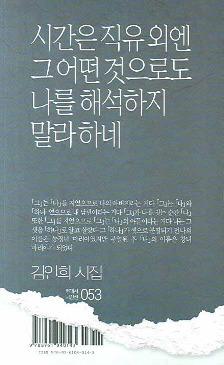 시간은 직유 외엔 그 어떤 것으로도 나를 해석하지 말라하네(현대시 시인선 53)