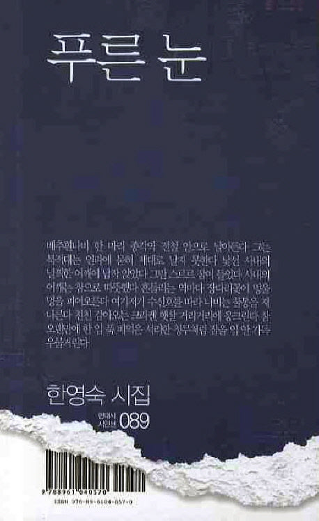 푸른 눈(현대시 시인선 89)