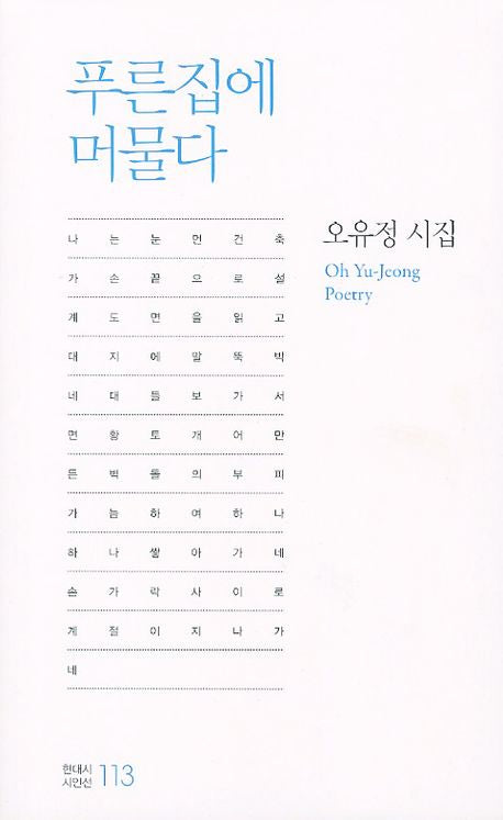 푸른집에 머물다(현대시 시인선 113)