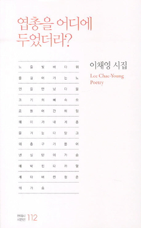 엽총을 어디에 두었더라(현대시 시인선 112)