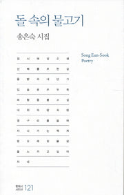 돌 속의 물고기(현대시 시인선 121)