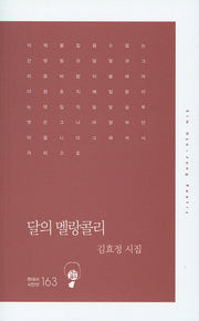 달의 멜랑콜리(현대시 시인선 163)