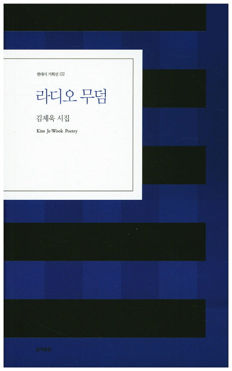 라디오 무덤(현대시 기획선 2)