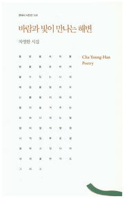 바람과 빛이 만나는 해변(현대시 시인선 168)