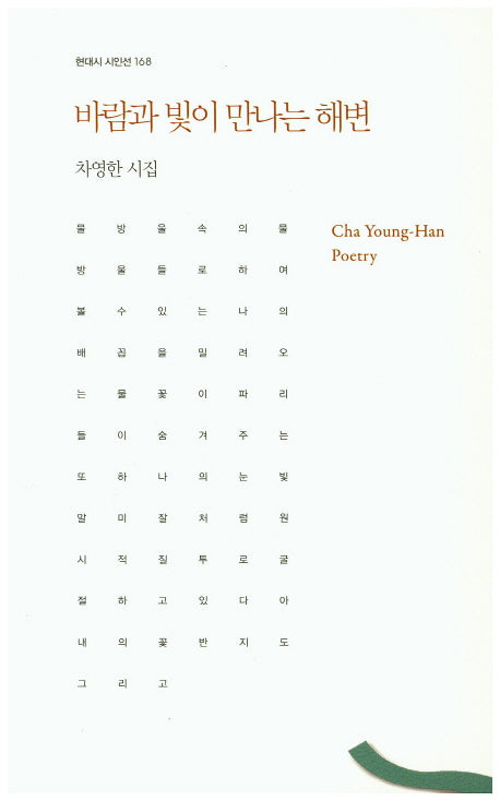 바람과 빛이 만나는 해변(현대시 시인선 168)