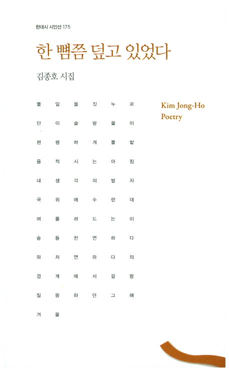 한 뼘쯤 덮고 있었다(현대시 시인선 175)