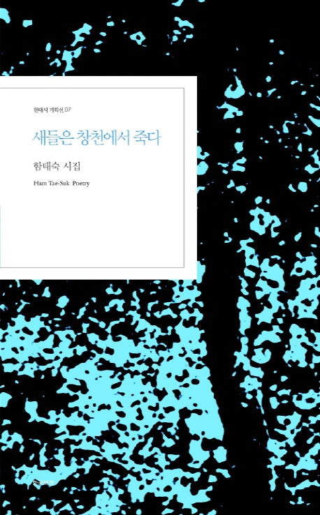 새들은 창천에서 죽다(현대시 기획선 7)