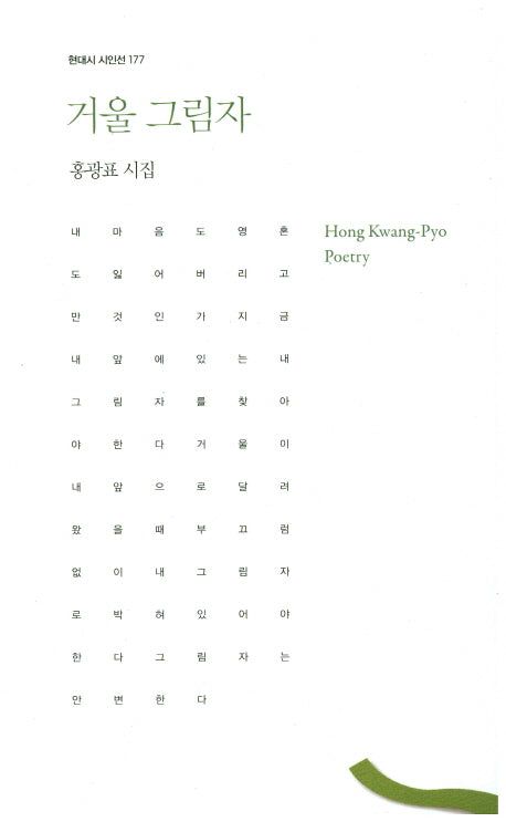 거울 그림자(현대시 시인선 177)
