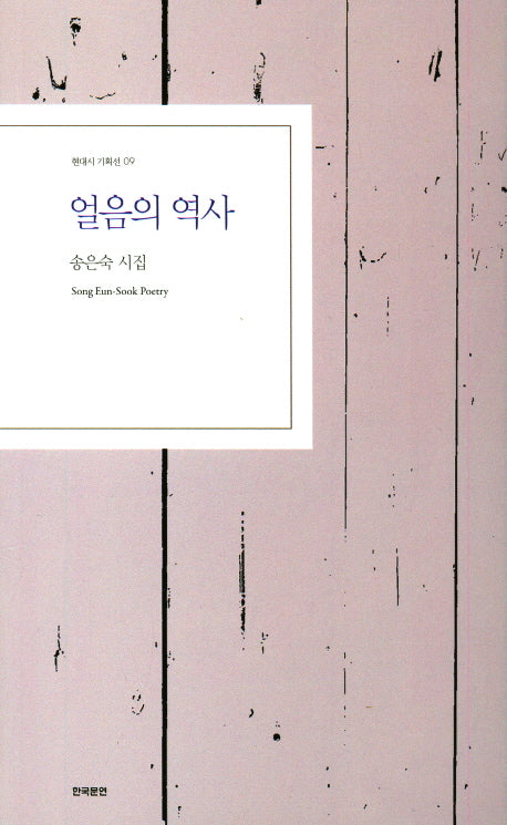 얼음의 역사(현대시 기획선 9)
