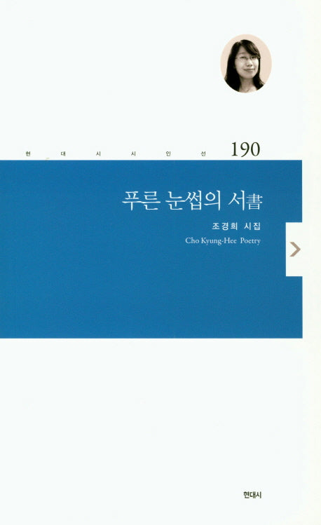 푸른 눈썹의 서(현대시 시인선 190)