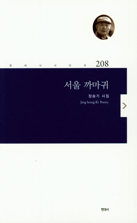 서울 까마귀(현대시인선 208)