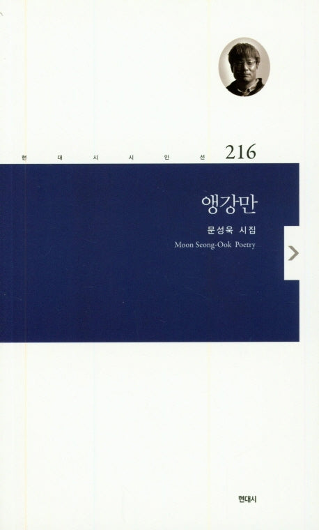 앵강만(현대시시인선 216)