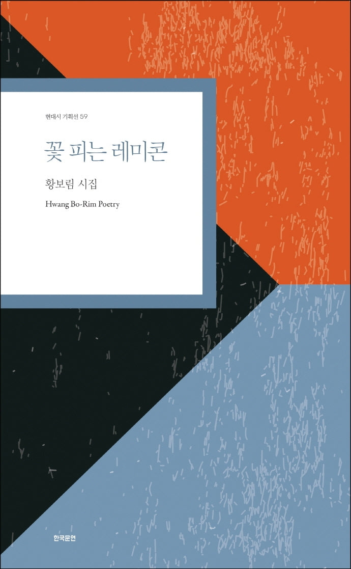 꽃 피는 레미콘(현대시 기획선 59)
