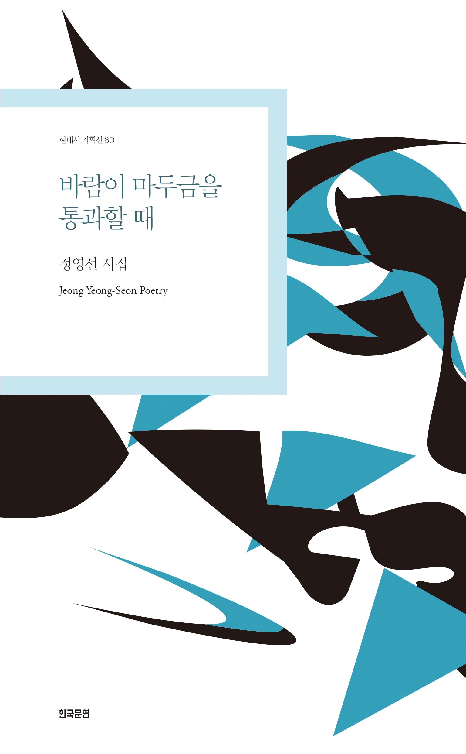 바람이 마두금을 통과할 때(현대시 기획선 80)