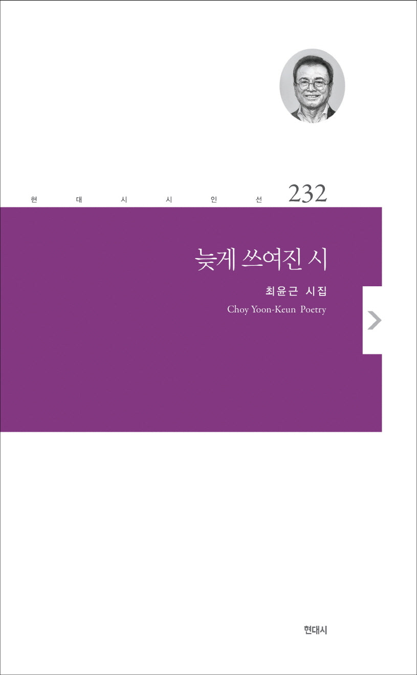 늦게 쓰여진 시(현대시 시인선 232)