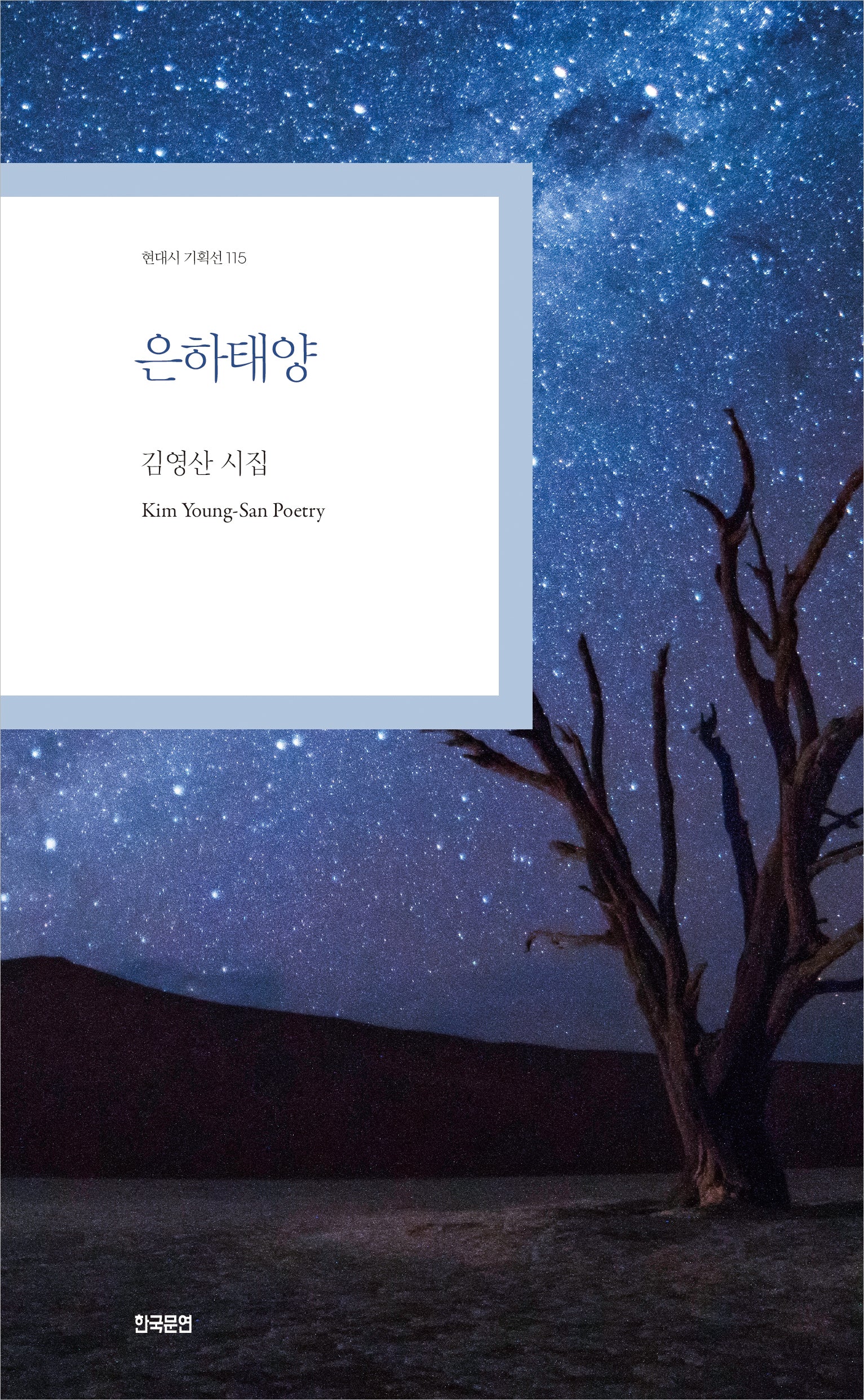 은하태양(현대시 기획선 115)