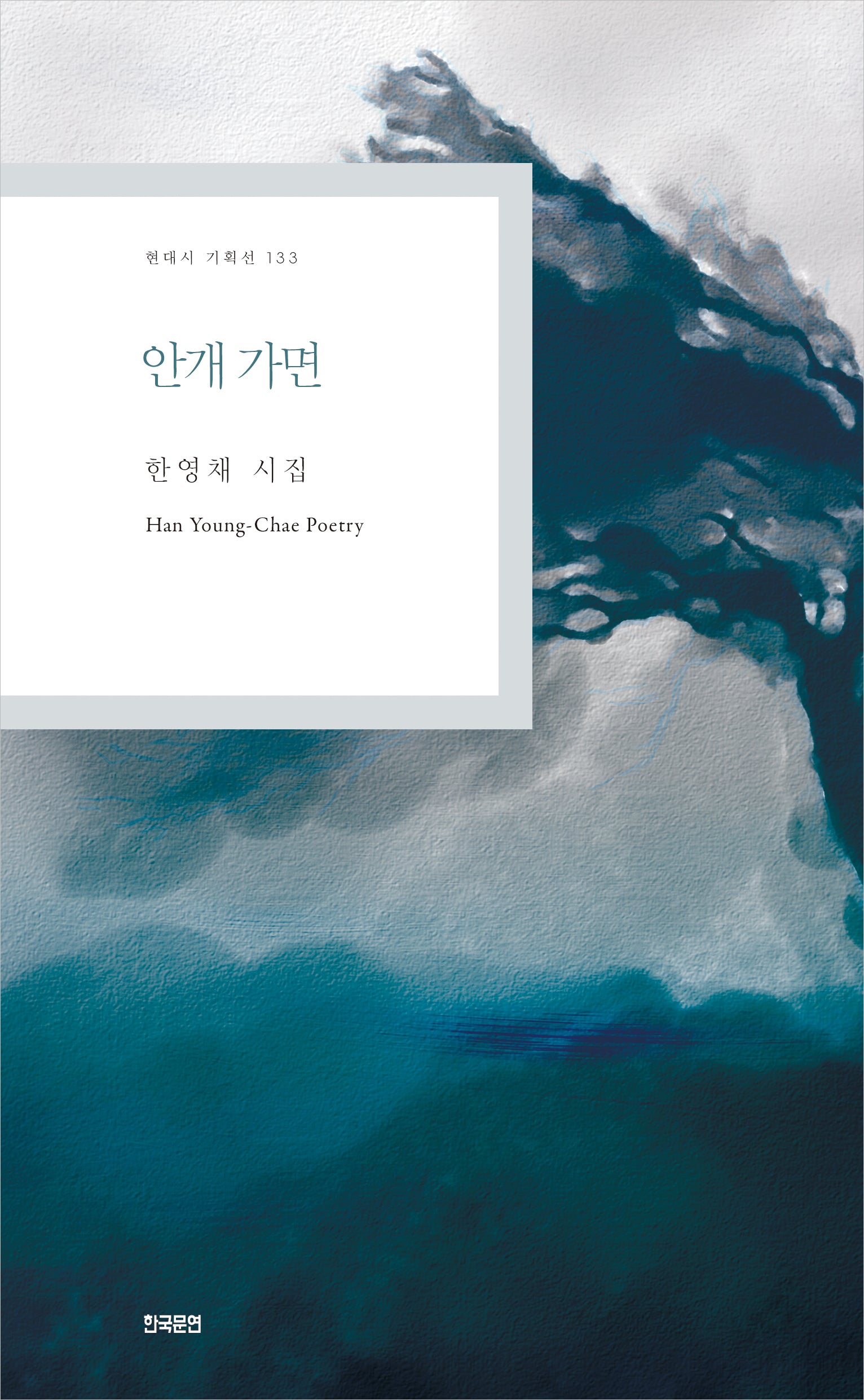 안개 가면(현대시 기획선 133)