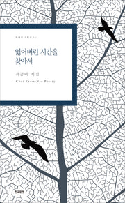 잃어버린 시간을 찾아서(현대시 기획선 151)