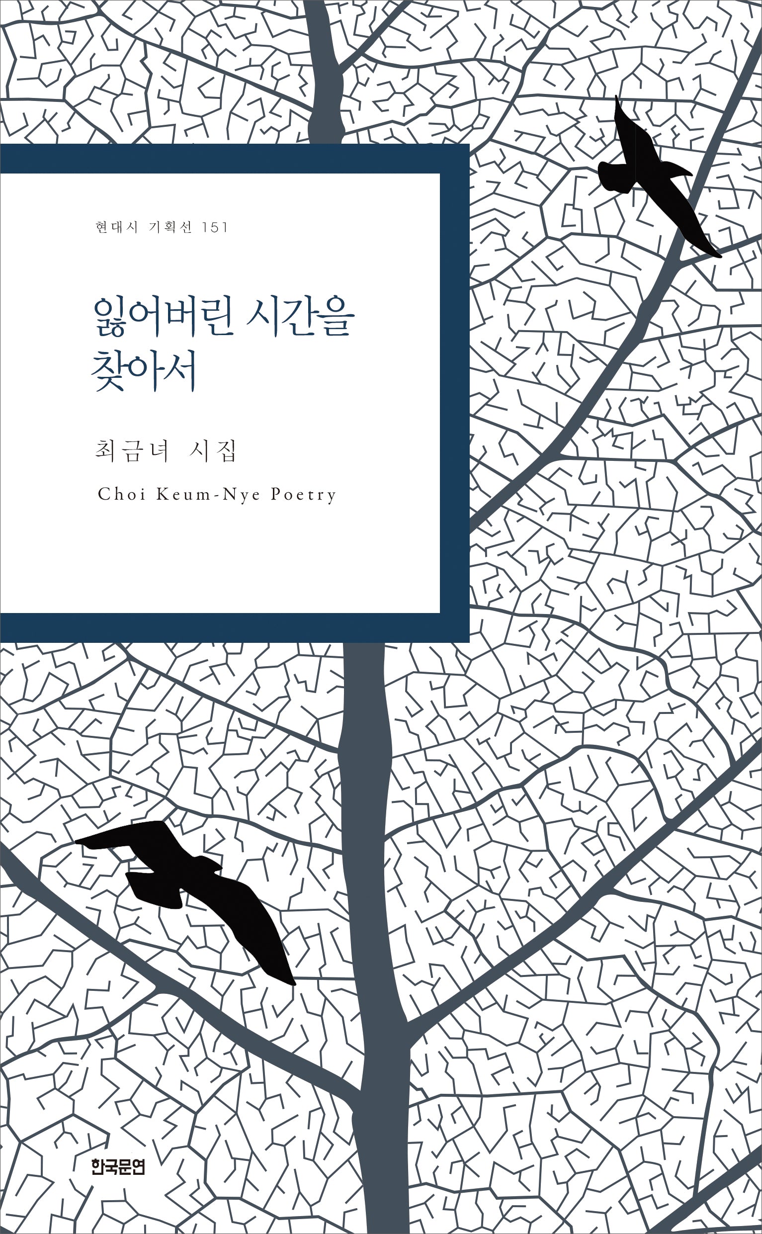 잃어버린 시간을 찾아서(현대시 기획선 151)