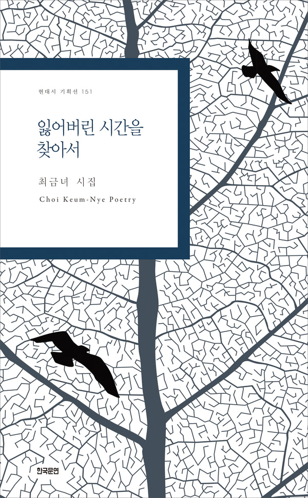 잃어버린 시간을 찾아서(현대시 기획선 151)
