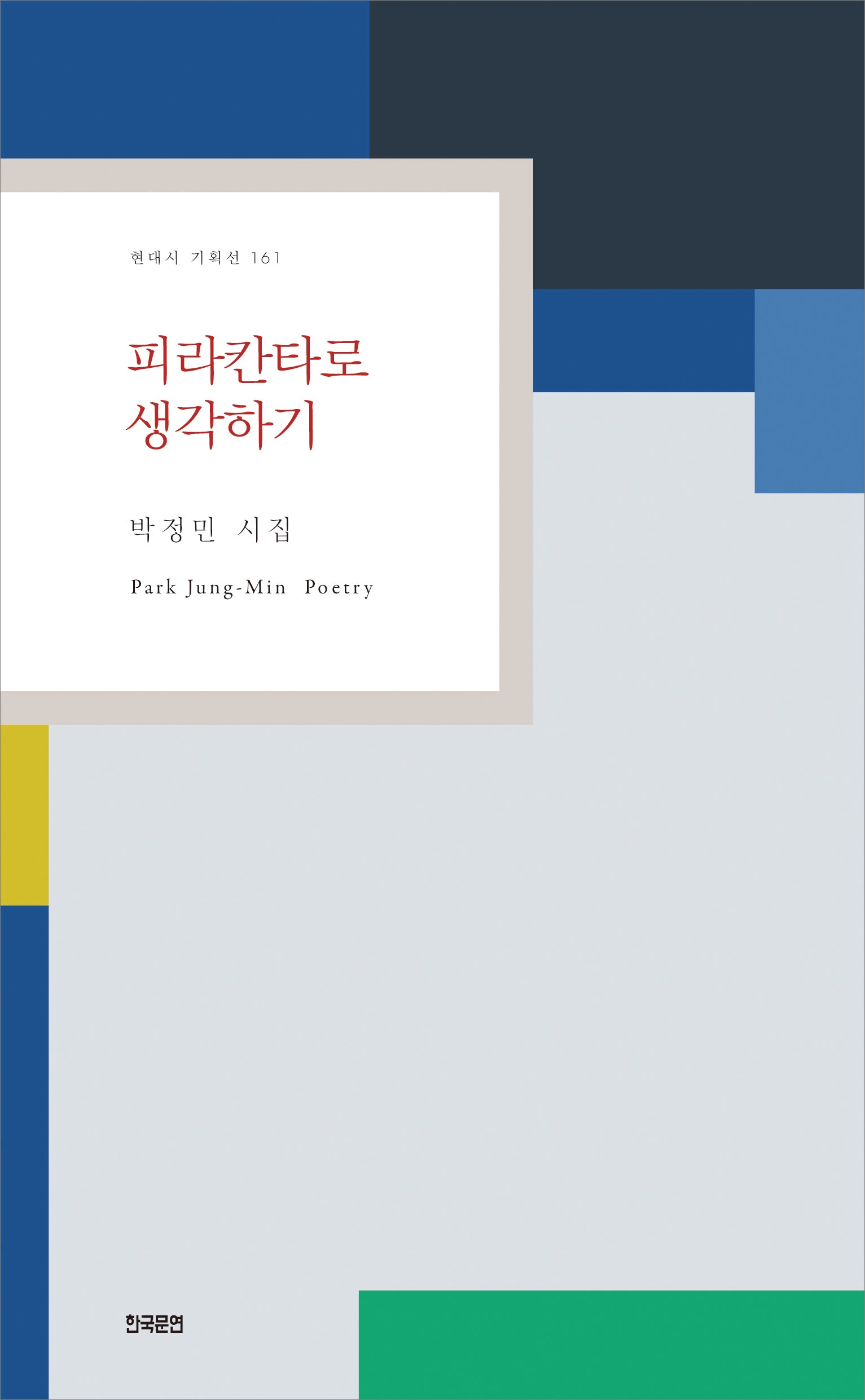 피라칸타로 생각하기(현대시 기획선 161)