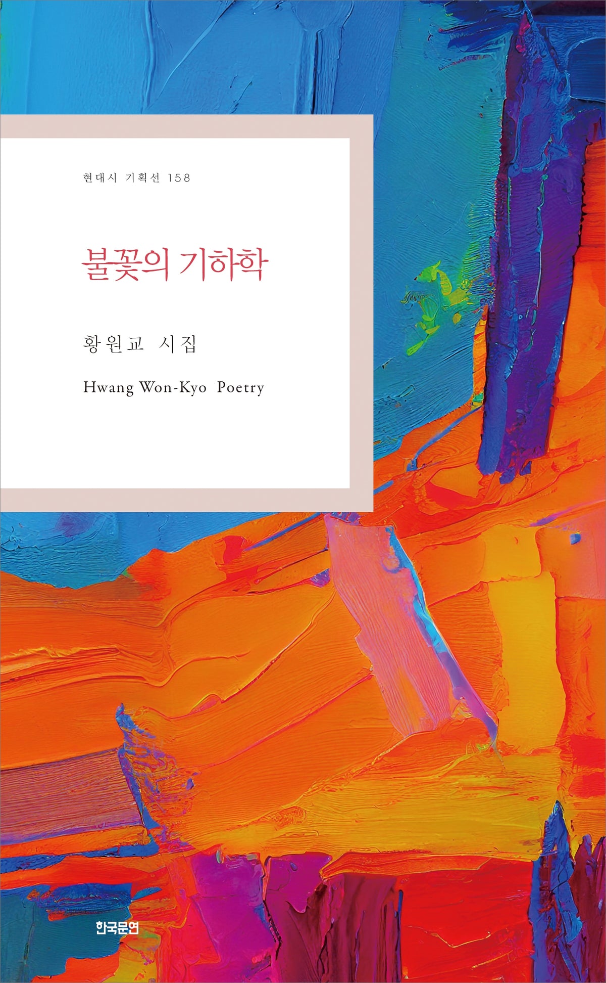 불꽃의 기하학(현대시 기획선 158)