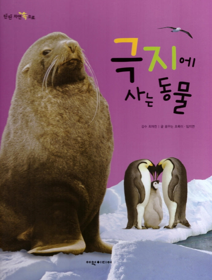극지에 사는 동물(탄탄 자연 속으로)(양장본 Hardcover)