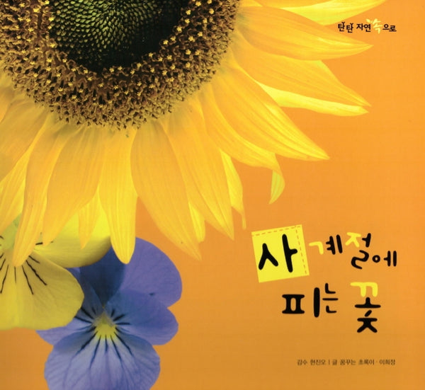 사계절에 피는 꽃(탄탄 자연 속으로)(양장본 Hardcover)