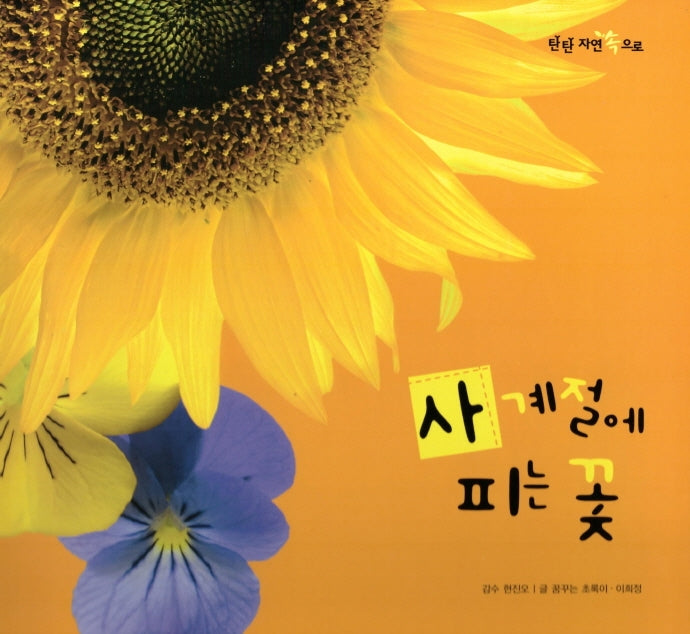 사계절에 피는 꽃(탄탄 자연 속으로)(양장본 Hardcover)