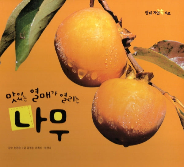 맛있는 열매가 열리는 나무(탄탄 자연 속으로)(양장본 Hardcover)