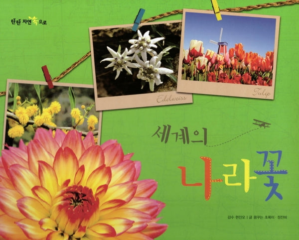 세계의 나라꽃(탄탄 자연 속으로)(양장본 Hardcover)