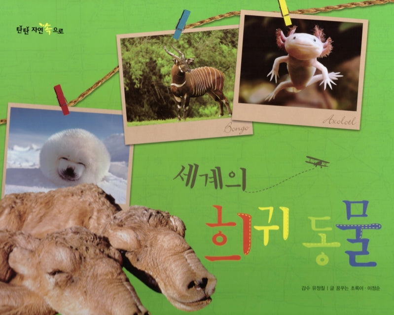 세계의 희귀 동물(탄탄 자연 속으로)(양장본 Hardcover)