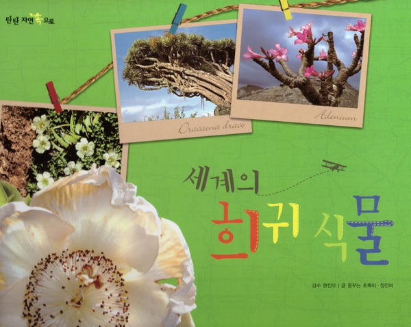세계의 희귀 식물(탄탄 자연 속으로)(양장본 Hardcover)