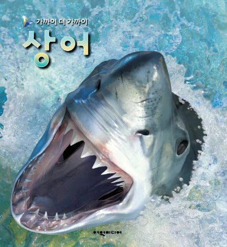 상어(가까이 더 가까이)(양장본 Hardcover)