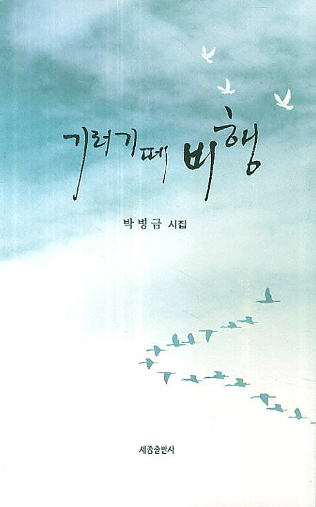 기러기떼 비행