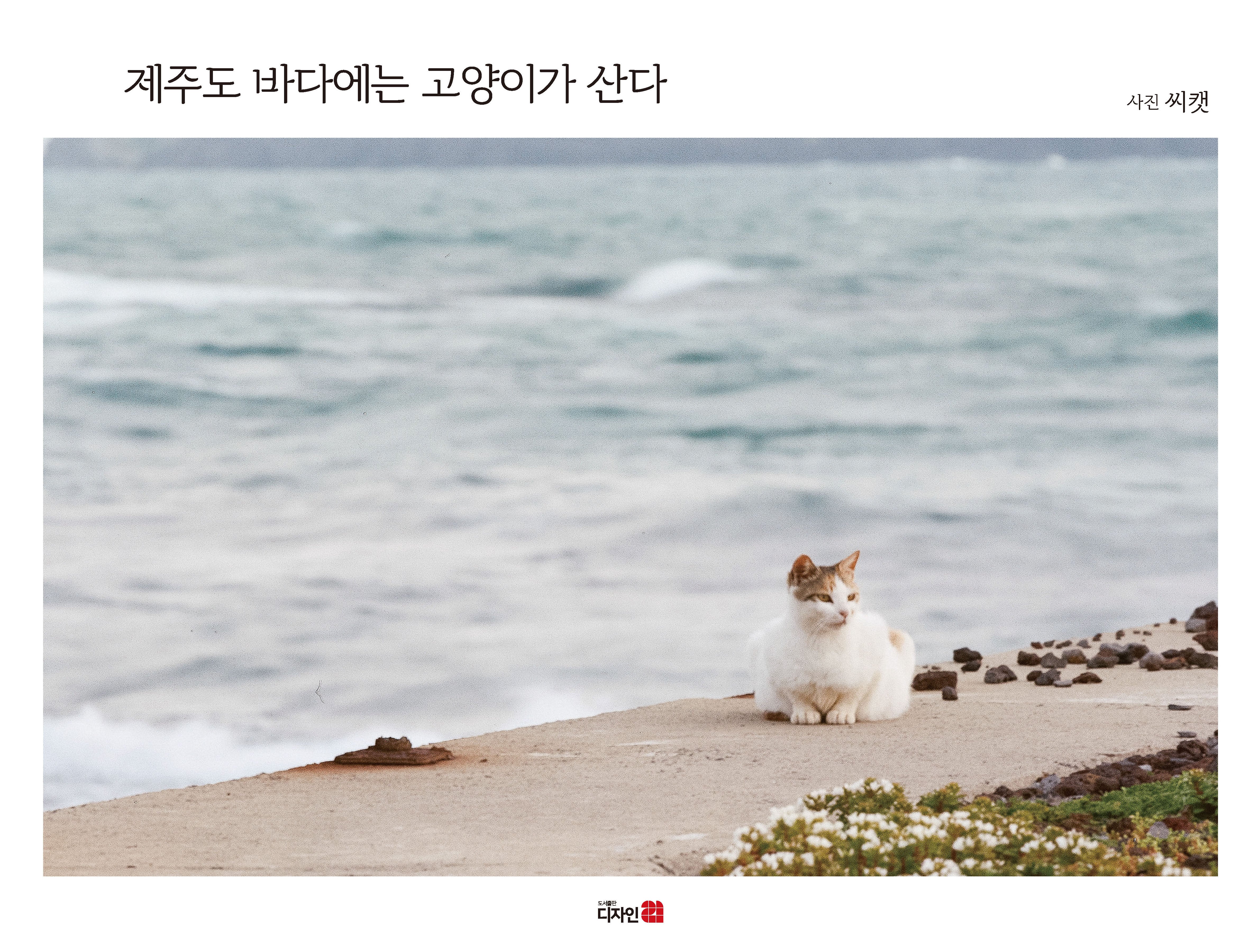 제주도 바다에는 고양이가 산다