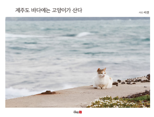 제주도 바다에는 고양이가 산다