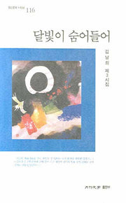 달빛이 숨어들어(월간문학 시인선 116)