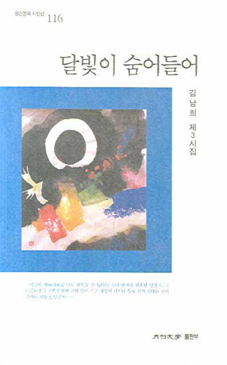 달빛이 숨어들어(월간문학 시인선 116)