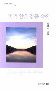 비켜 앉은 강물 속에(월간문학 시인선 119)