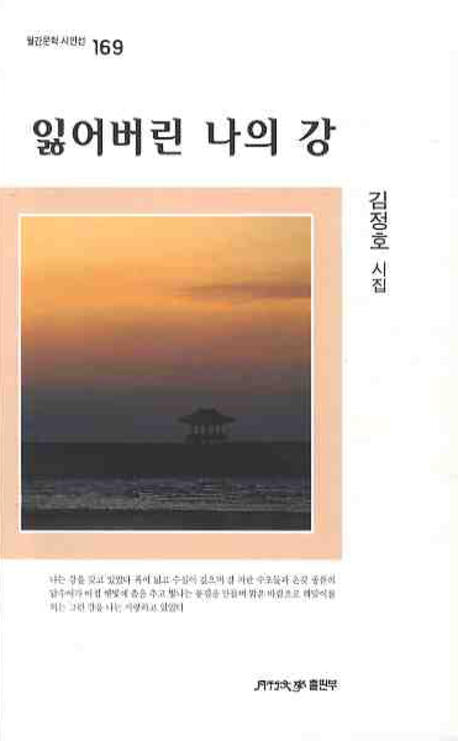 잃어버린 나의 강(월간문학 시인선 169)