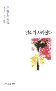 열쇠가 사라졌다(월간문학 시인선 237)
