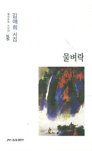 물벼락(월간문학 시인선 266)