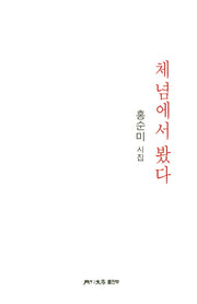 체념에서 봤다(월간문학 시인선 343)