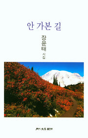 안 가본 길(월간문학 시인선 367)