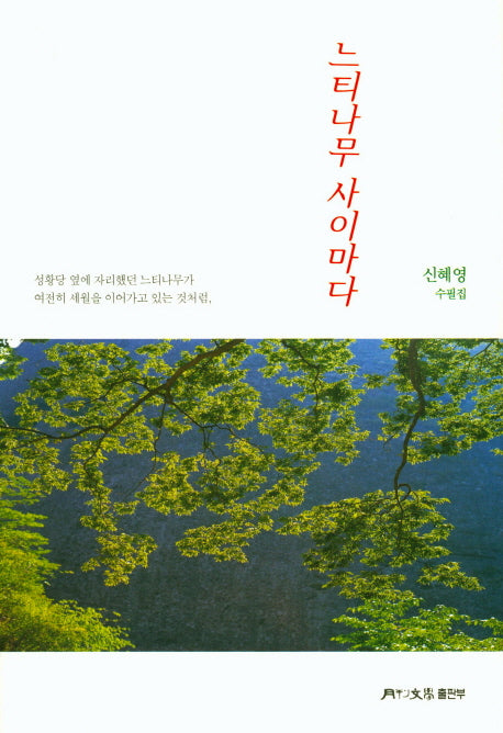 느티나무 사이마다