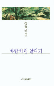바람처럼 살다가(월간문학 시인선 372)