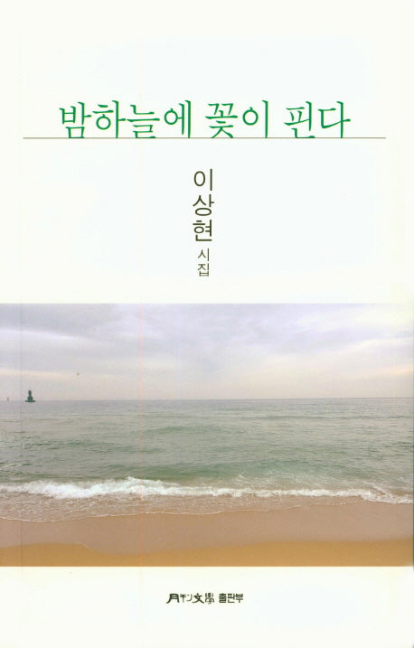 밤하늘에 꽃이 핀다