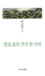 빌딩 숲속 까치 한 마리(월간문학 시인선 375)
