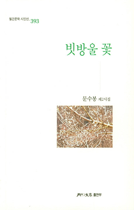 빗방울 꽃(월간문학 시인선 393)